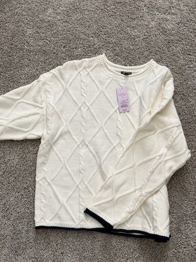 wild fable Cream Cable Knit Sweater